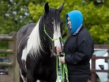 untitled-1045