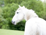 untitled-1133