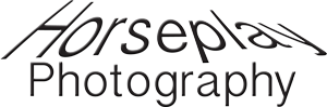 Horseplay Photography Natural Horse Photography
